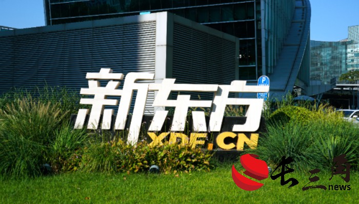 剥离与辉同行后,新东方最新财季净利同比下跌6.9%