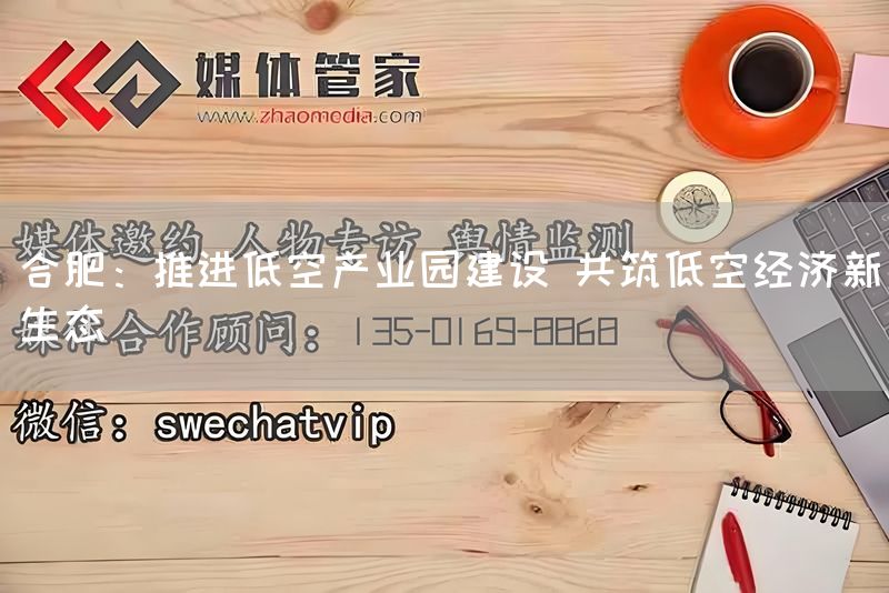 合肥：推进低空产业园建设 共筑低空经济新生态(图1)
