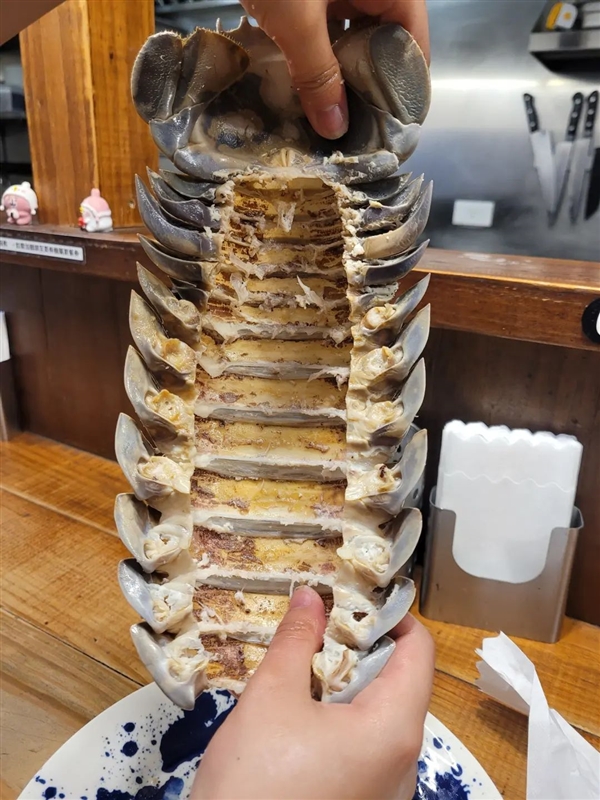 台湾大王具足虫拉面341元一碗 学者：海蟑螂远亲 可能会中毒(图3)